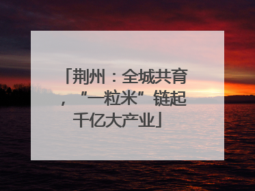 荆州：全城共育，“一粒米”链起千亿大产业
