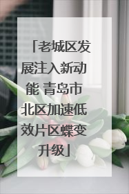 老城区发展注入新动能 青岛市北区加速低效片区蝶变升级
