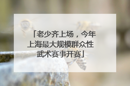 老少齐上场，今年上海最大规模群众性武术赛事开赛