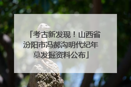 考古新发现！山西省汾阳市冯郝沟明代纪年墓发掘资料公布