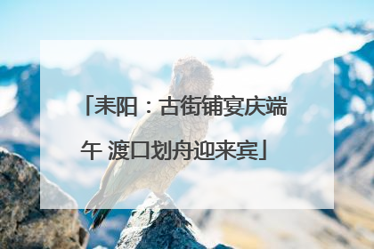 耒阳：古街铺宴庆端午 渡口划舟迎来宾