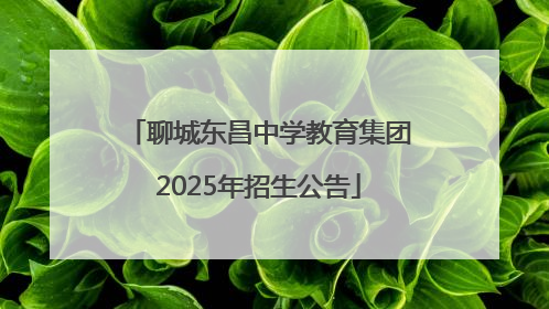聊城东昌中学教育集团2025年招生公告