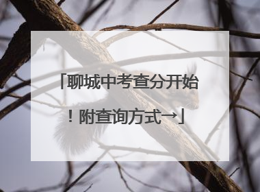 聊城中考查分开始！附查询方式→