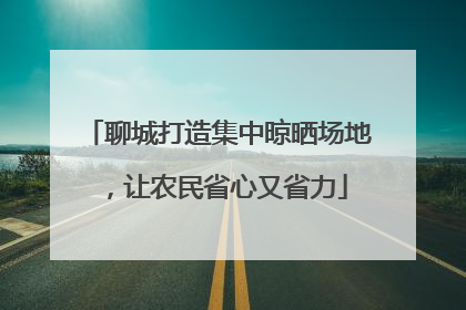 聊城打造集中晾晒场地，让农民省心又省力