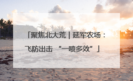 聚焦北大荒｜延军农场：飞防出击 “一喷多效”