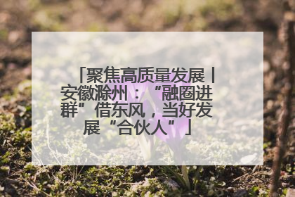 聚焦高质量发展丨安徽滁州：“融圈进群”借东风，当好发展“合伙人”