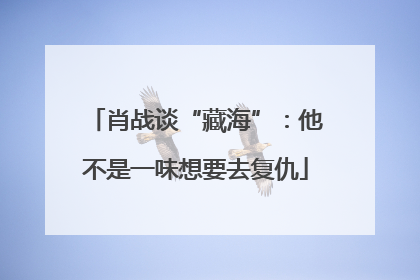肖战谈“藏海”：他不是一味想要去复仇