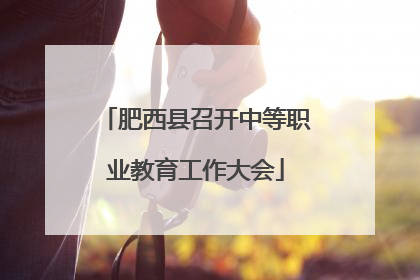 肥西县召开中等职业教育工作大会