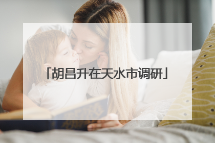 胡昌升在天水市调研