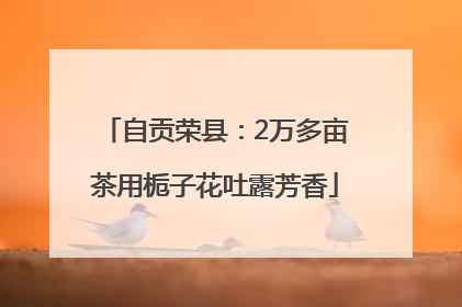 自贡荣县：2万多亩茶用栀子花吐露芳香