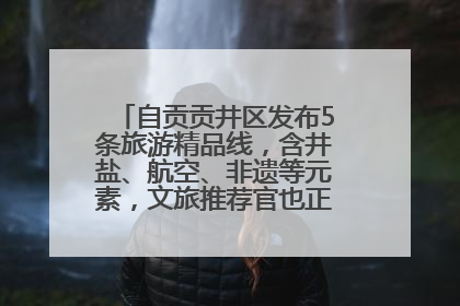 自贡贡井区发布5条旅游精品线，含井盐、航空、非遗等元素，文旅推荐官也正在报名选拔中