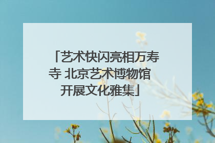 艺术快闪亮相万寿寺 北京艺术博物馆开展文化雅集