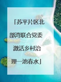 苏平片区北部湾联合党委 激活乡村治理一池春水