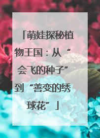 萌娃探秘植物王国：从“会飞的种子”到“善变的绣球花”