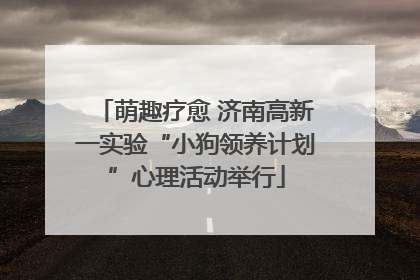 萌趣疗愈 济南高新一实验“小狗领养计划”心理活动举行
