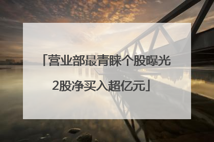 营业部最青睐个股曝光 2股净买入超亿元