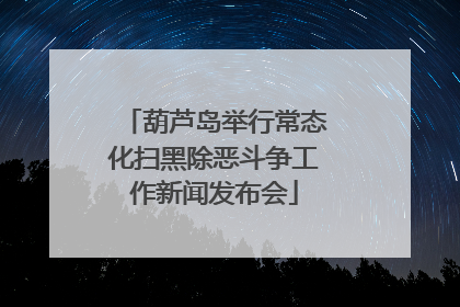 葫芦岛举行常态化扫黑除恶斗争工作新闻发布会