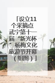 设立11个采摘点 武宁第十一届“新光杯”杨梅文化旅游节开幕（组图）