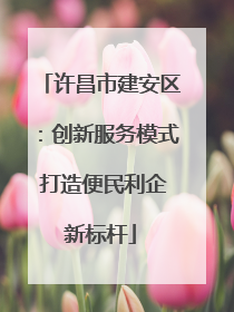 许昌市建安区：创新服务模式 打造便民利企新标杆
