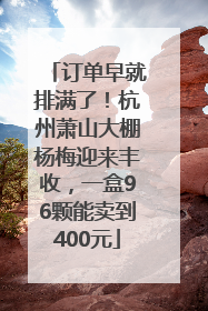 订单早就排满了！杭州萧山大棚杨梅迎来丰收，一盒96颗能卖到400元