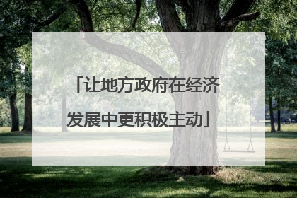 让地方政府在经济发展中更积极主动