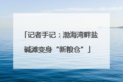 记者手记：渤海湾畔盐碱滩变身“新粮仓”