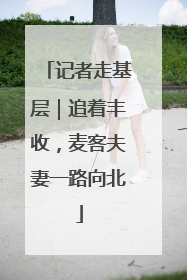 记者走基层｜追着丰收，麦客夫妻一路向北
