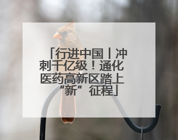 行进中国丨冲刺千亿级！通化医药高新区踏上“新”征程