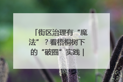 街区治理有“魔法”？看梧桐树下的“破圈”实践｜我在街区当书记