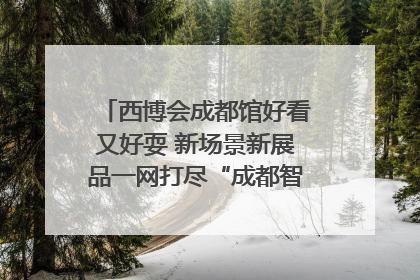 西博会成都馆好看又好耍 新场景新展品一网打尽“成都智造”｜西博视界