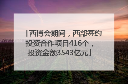 西博会期间，西部签约投资合作项目416个，投资金额3543亿元