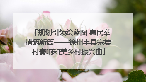 规划引领绘蓝图 惠民举措筑新篇——徐州丰县宗集村奏响和美乡村振兴曲