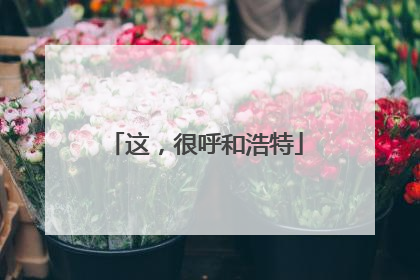这，很呼和浩特