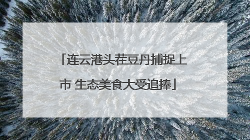 连云港头茬豆丹捕捉上市 生态美食大受追捧