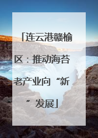 连云港赣榆区：推动海苔老产业向“新”发展