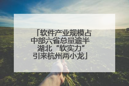 软件产业规模占中部六省总量逾半 湖北“软实力”引来杭州两小龙