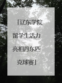 辽东学院留学生活力亮相丹东匹克球赛