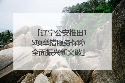 辽宁公安推出15项举措服务保障全面振兴新突破