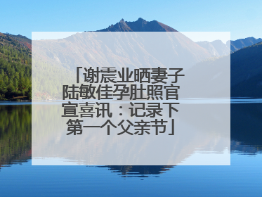 谢震业晒妻子陆敏佳孕肚照官宣喜讯：记录下第一个父亲节