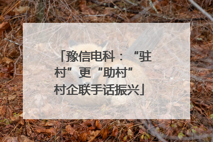 豫信电科：“驻村”更“助村” 村企联手话振兴
