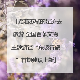 踏着苏轼的足迹去旅游 全国首条文物主题游径“东坡行旅”首期建设上新