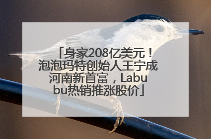 身家208亿美元！泡泡玛特创始人王宁成河南新首富，Labubu热销推涨股价