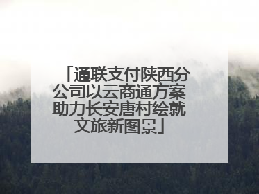 通联支付陕西分公司以云商通方案助力长安唐村绘就文旅新图景