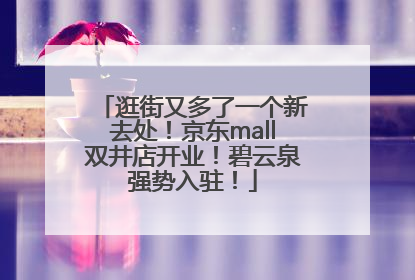 逛街又多了一个新去处！京东mall双井店开业！碧云泉强势入驻！