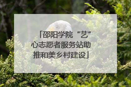 邵阳学院“艺”心志愿者服务站助推和美乡村建设