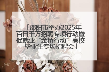 邵阳市举办2025年百日千万招聘专项行动暨促就业“金桥行动”高校毕业生专场招聘会