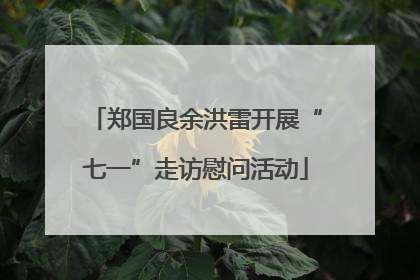 郑国良余洪雷开展“七一”走访慰问活动