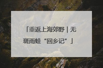 重返上海郊野｜无斑雨蛙“回乡记”