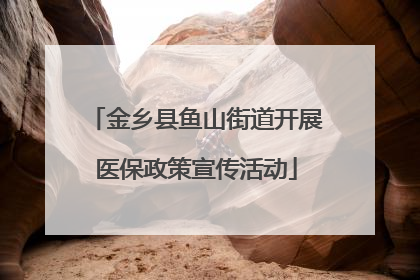 金乡县鱼山街道开展医保政策宣传活动