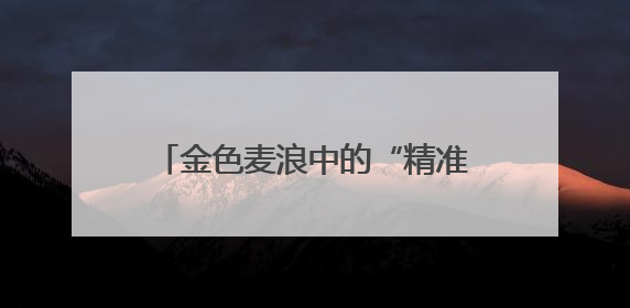 金色麦浪中的“精准较量”石家庄市开展小麦机收减损大比武